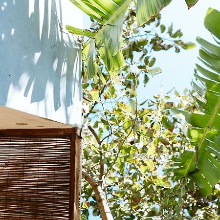 Tortuga Blue House In Banana Plantation Villa Arucas Dış mekan fotoğraf
