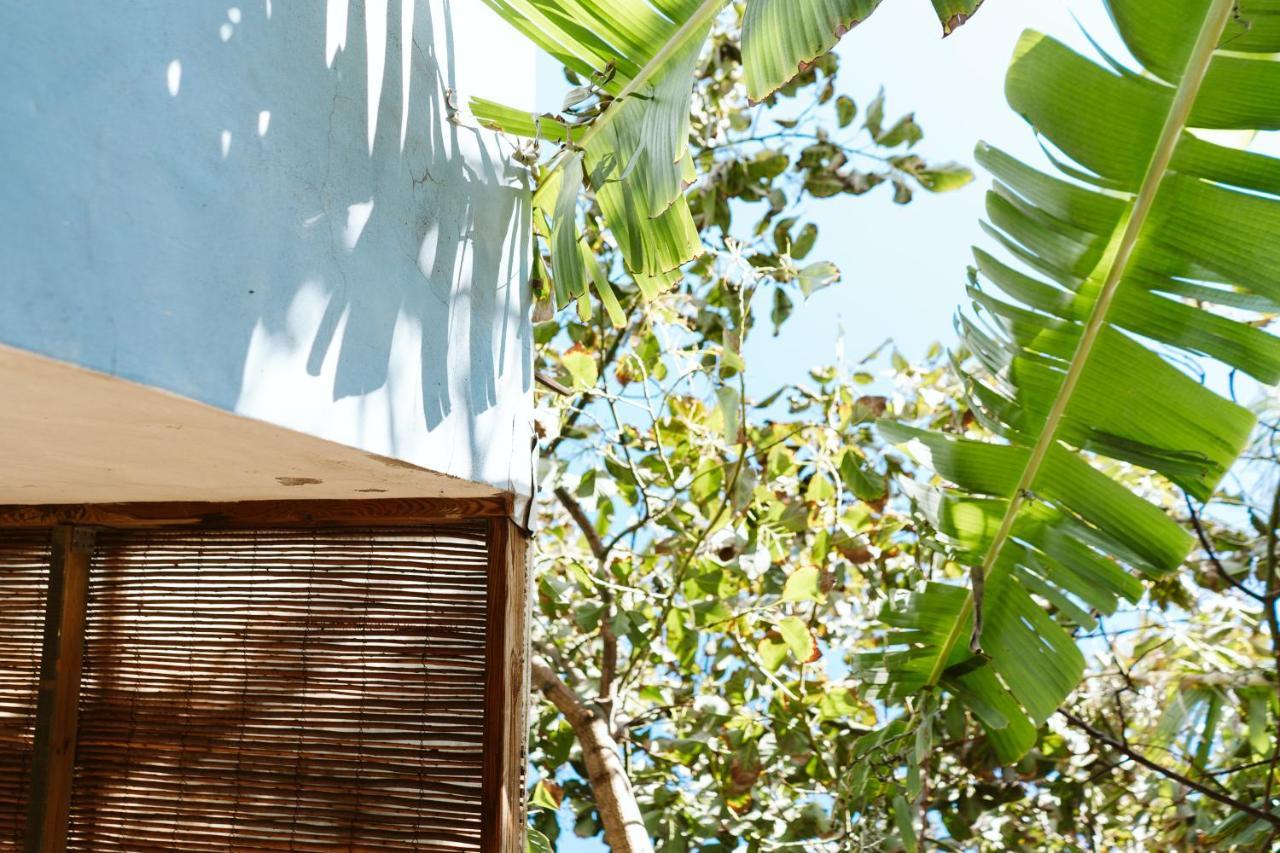 Tortuga Blue House In Banana Plantation Villa Arucas Dış mekan fotoğraf